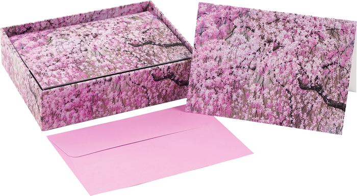 14 ct. Cherry Blossoms Note Cards