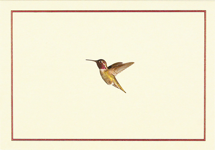 14 ct. Hummingbird Flight Note Cards