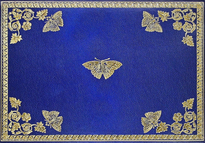 14 ct. Note Cards - Gilded Butterflies