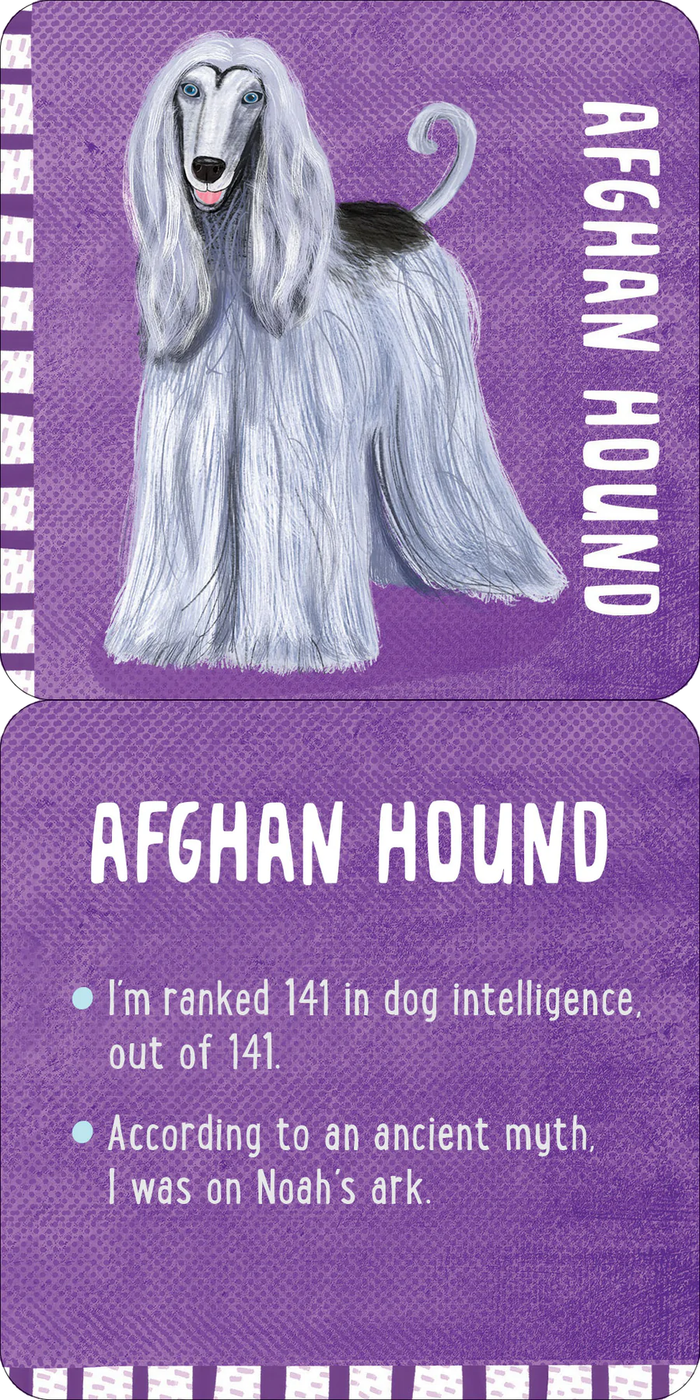 All The Dogs Lunch Box Notes For Kids - Set of 50 Cards