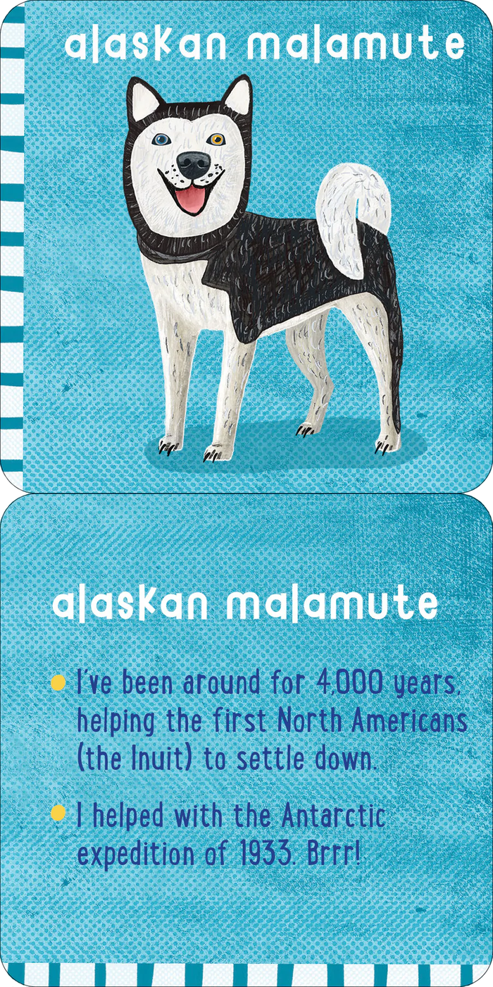 All The Dogs Lunch Box Notes For Kids - Set of 50 Cards