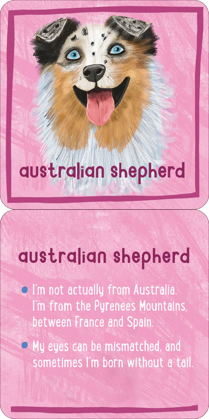 All The Dogs Lunch Box Notes For Kids - Set of 50 Cards