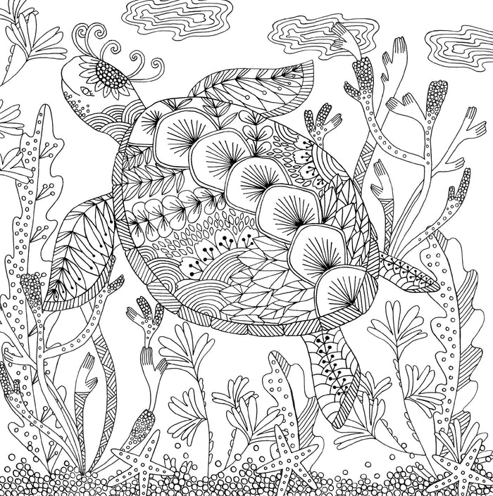 Artist's Coloring Book - Follow Your Dreams