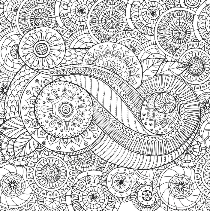 Artist's Coloring Book - Peaceful Paisleys