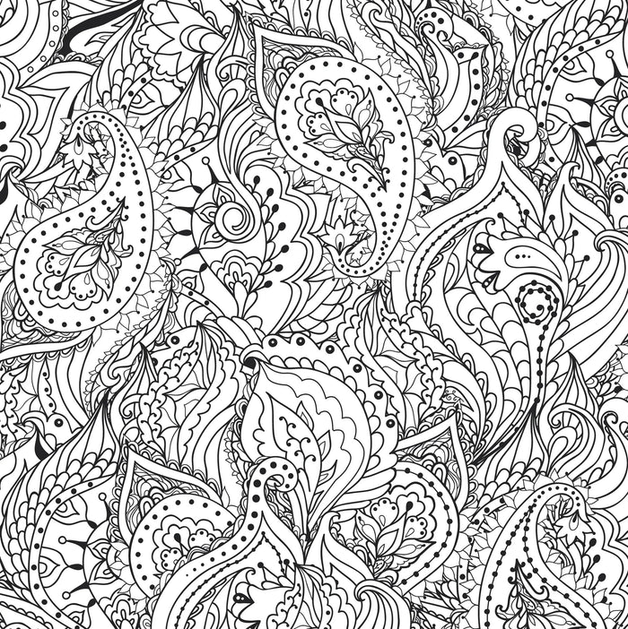 Artist's Coloring Book - Peaceful Paisleys