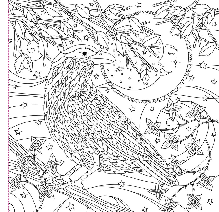 Artist's Coloring Book - Witchcraft & Wonder