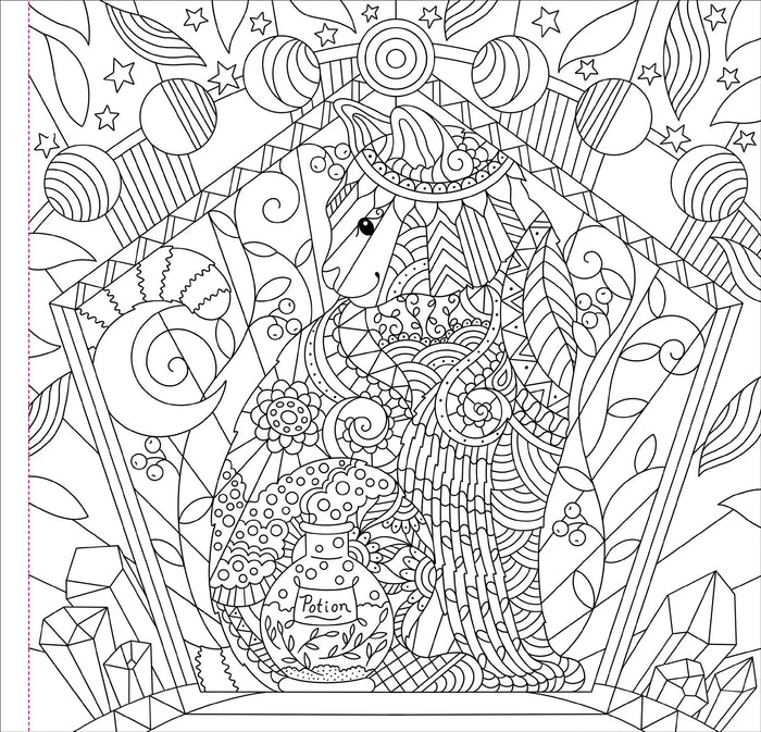Artist's Coloring Book - Witchcraft & Wonder