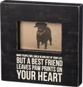 Box Frame - Leaves Paw Prints