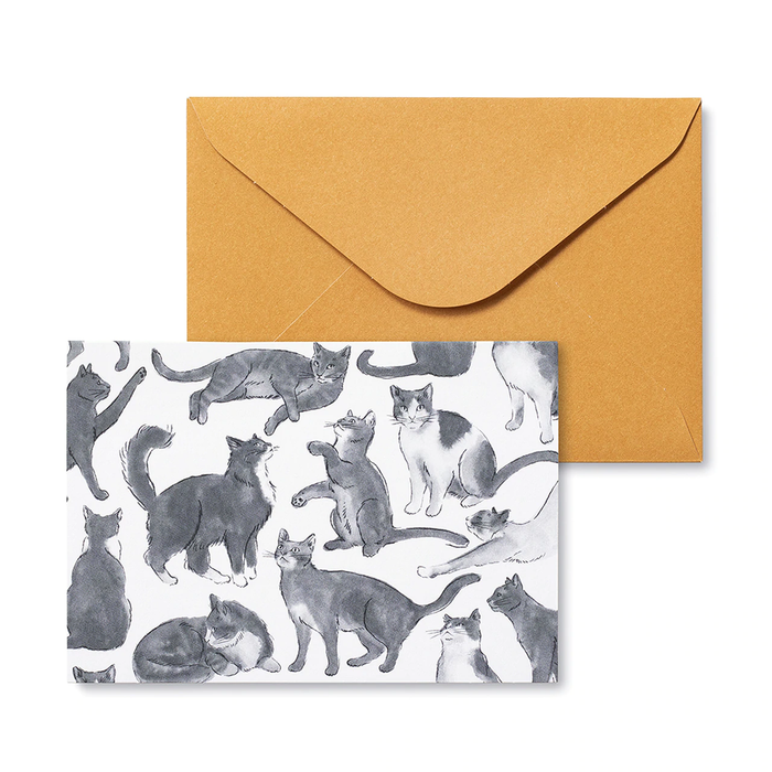 Cat Themed Cards - 12ct Notecards for Appreciation & Friendship