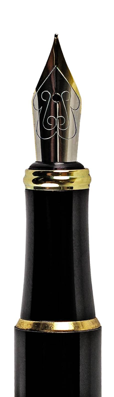 Designer Fountain Pen - Mushroom