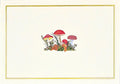 Designer Note Cards - Mushrooms