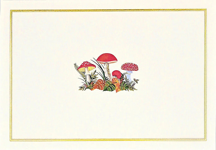 Designer Note Cards - Mushrooms