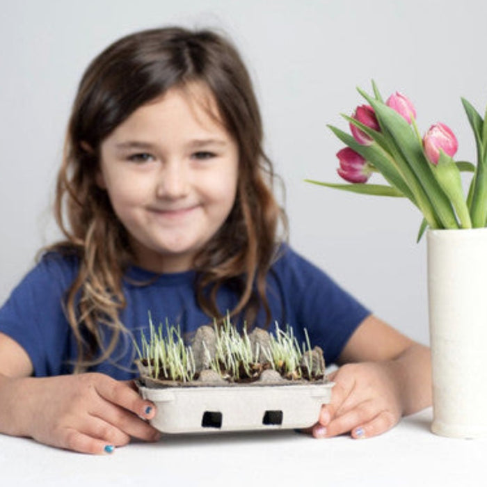 Egg Coloring Kit