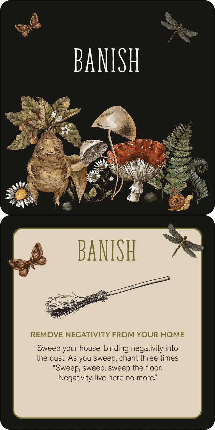 Everyday Spells - 50 ct. Insight Cards
