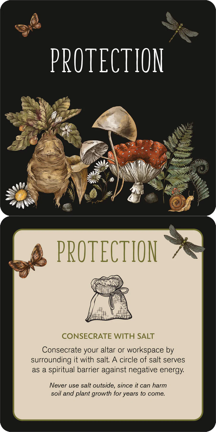 Everyday Spells - 50 ct. Insight Cards