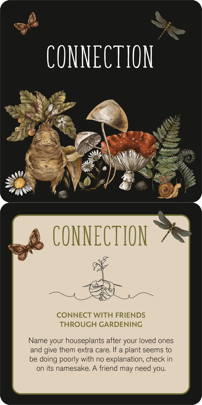 Everyday Spells - 50 ct. Insight Cards