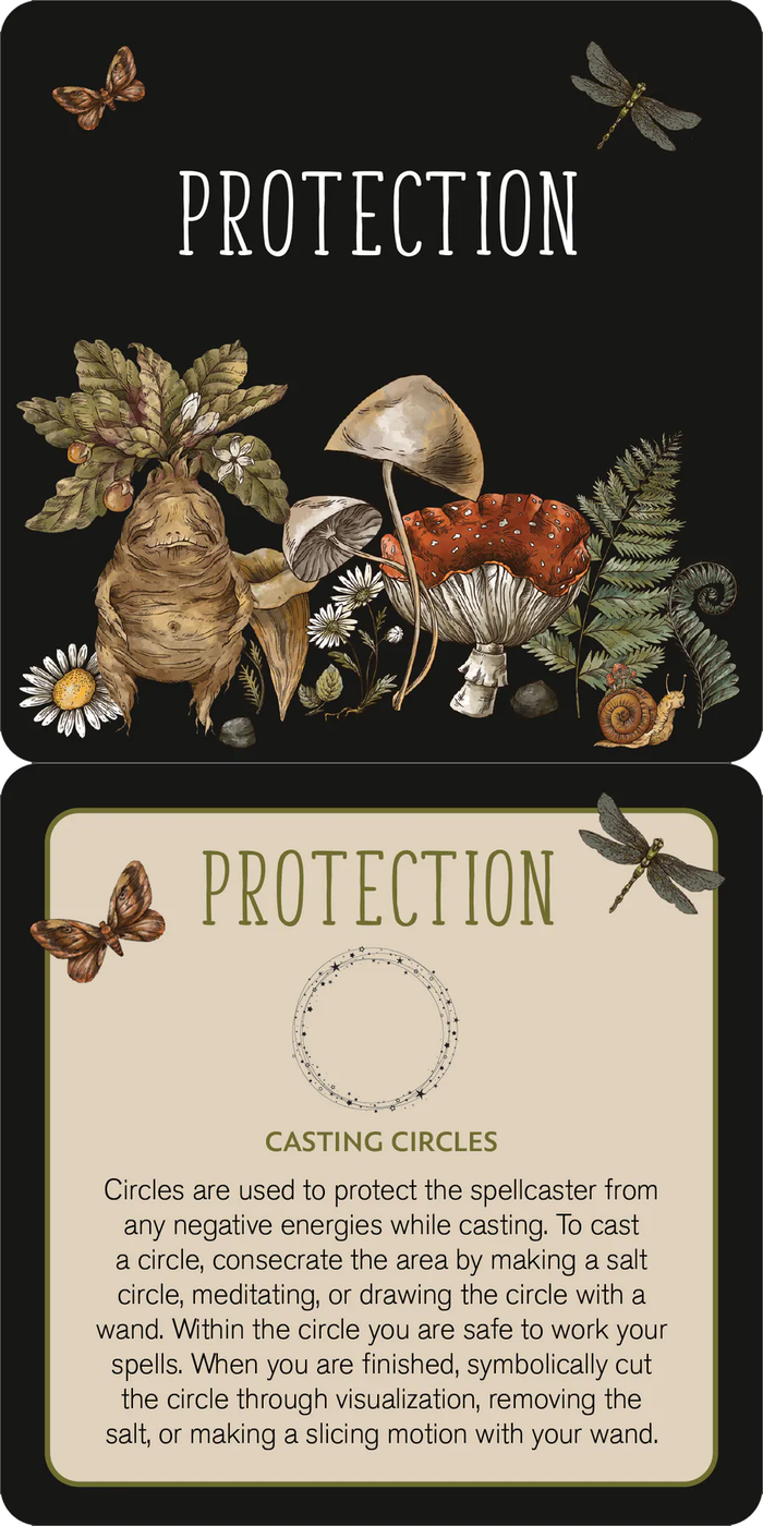 Everyday Spells - 50 ct. Insight Cards
