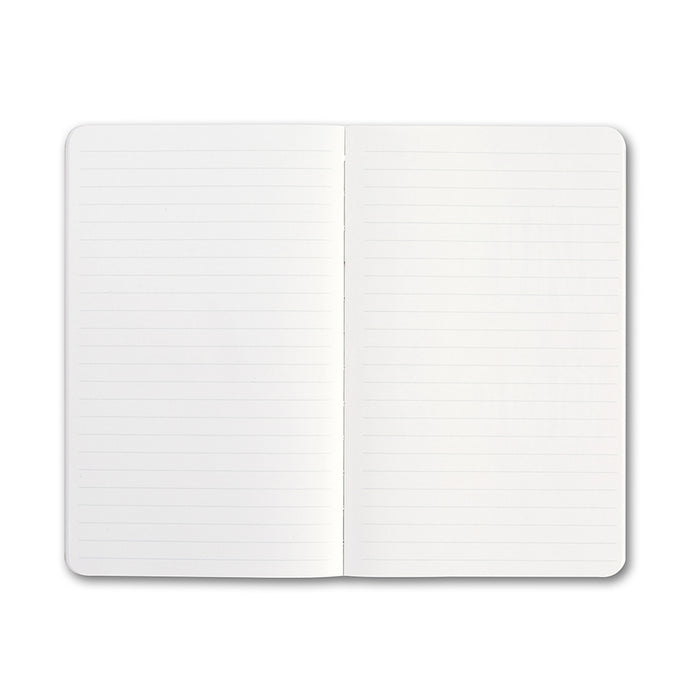 Fearless - Journal