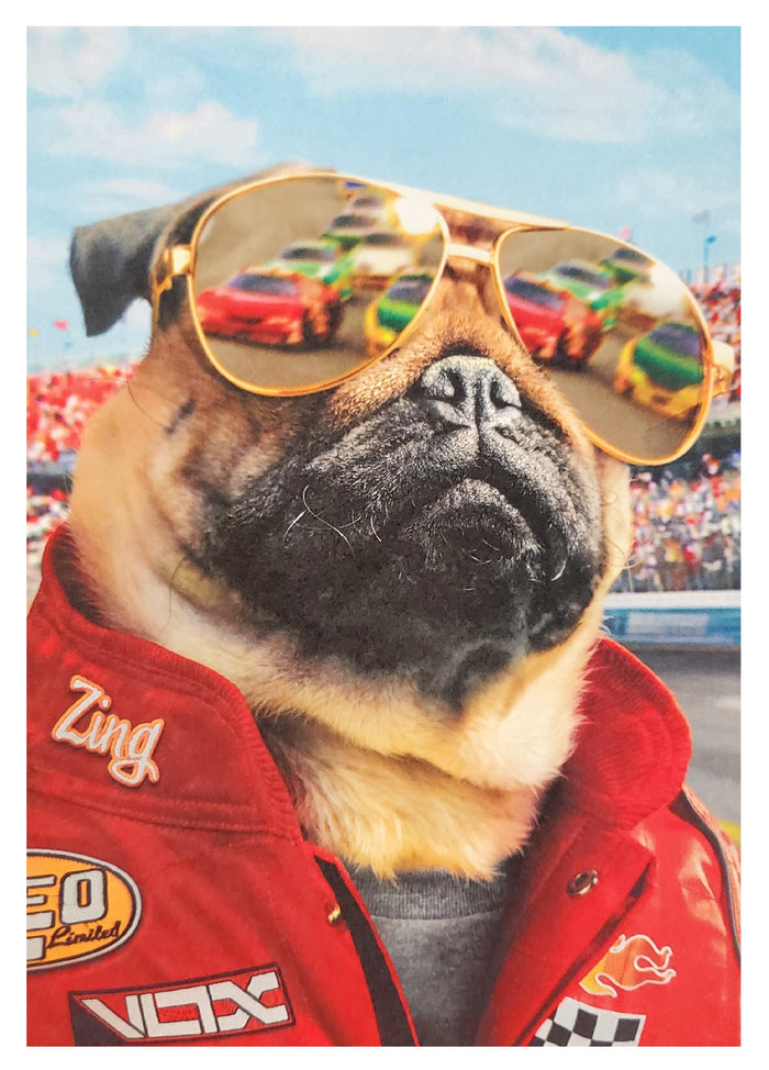 Fold-Out Birthday Greeting Card - Cool Dog Racing Fan