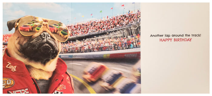Fold-Out Birthday Greeting Card - Cool Dog Racing Fan