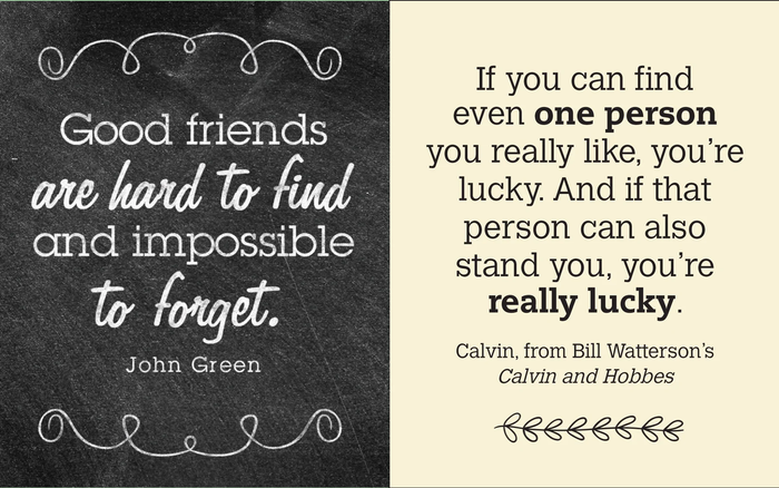 Friends: The Family We Choose - Charm Gift Book