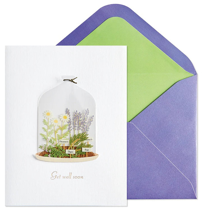Get Well Greeting Card - Plants In Cloche