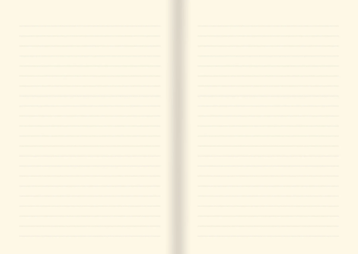 Gilded Onyx Journal