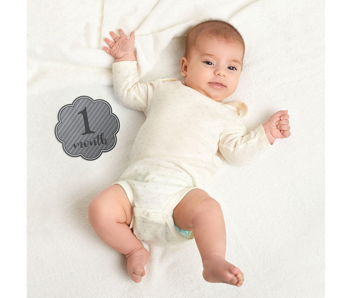 Grey Milestone Card Set (1-15 months)