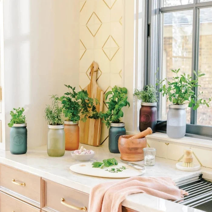 Herb Jar and Self-Watering Planter