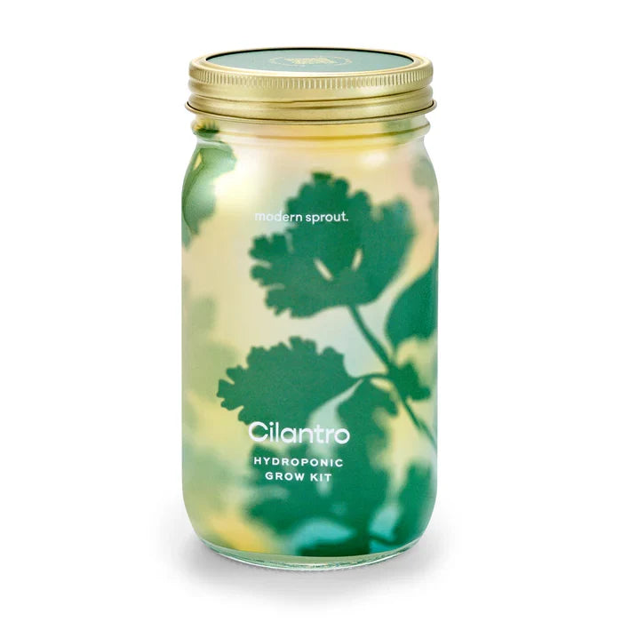 Herb Jar and Self-Watering Planter