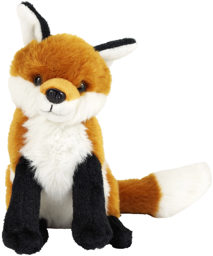Hug a Fox Kit