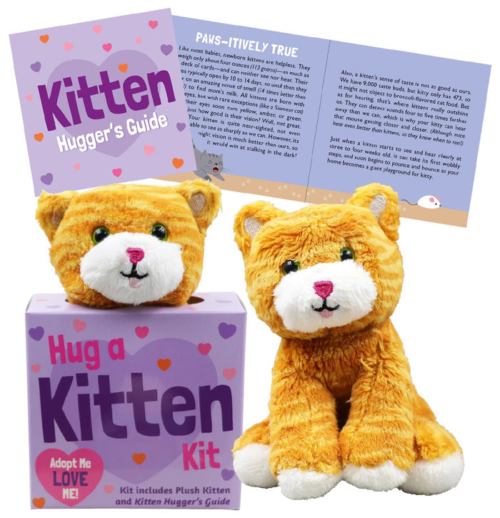 Hug a Kitten Kit
