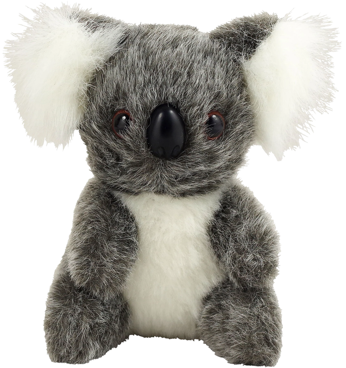 Hug a Koala Kit