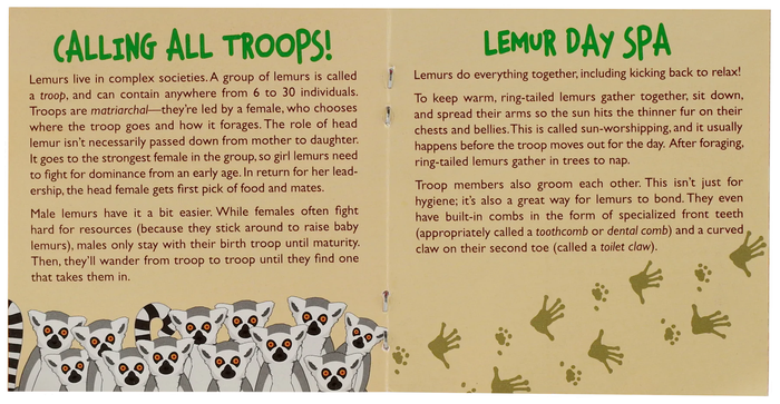Hug a Lemur Kit