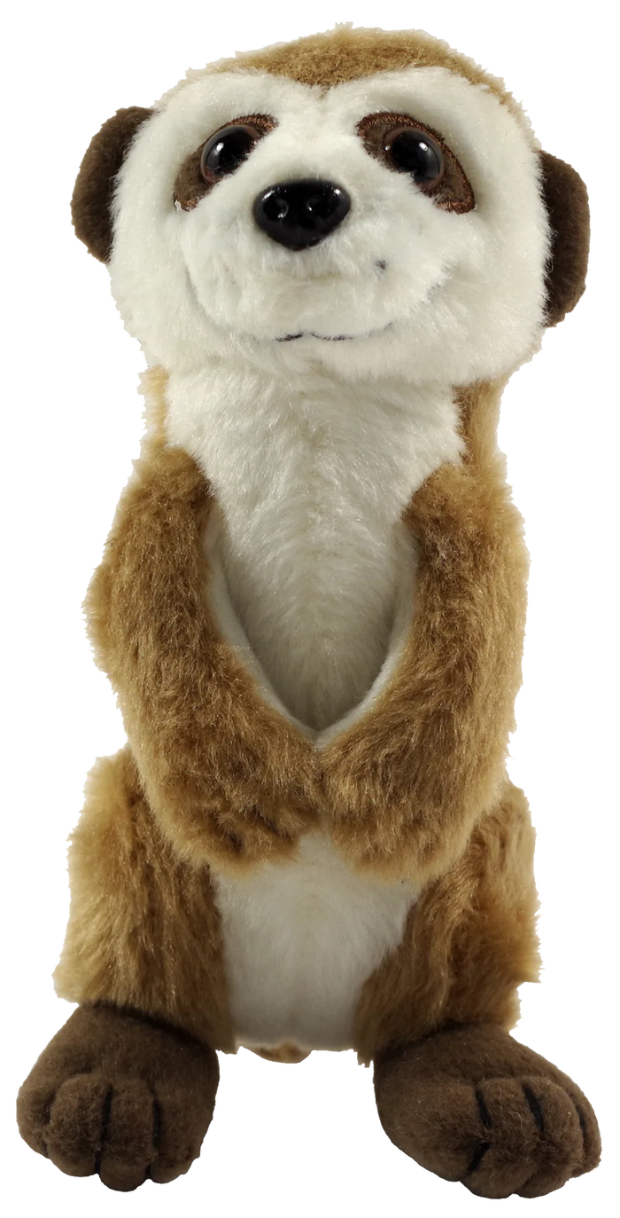 Hug a Meerkat Kit