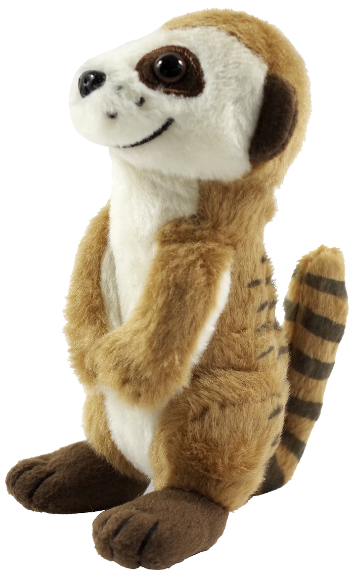 Hug a Meerkat Kit