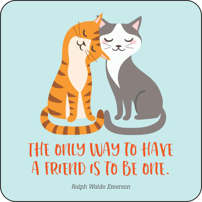 Kindness Lunchbox Notes For Kids - Set of 60 Cards