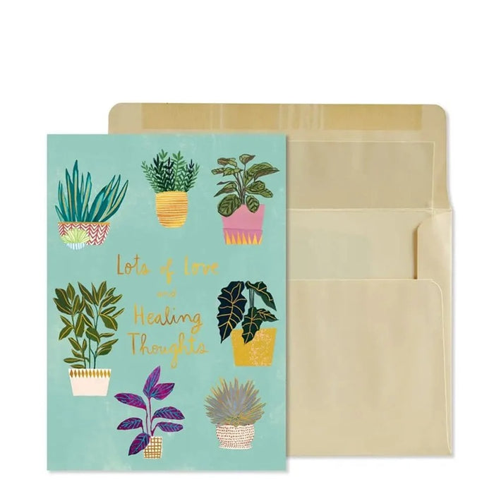 Luxury Get Well Greeting Card - Potted Plants