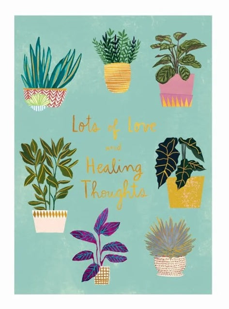 Luxury Get Well Greeting Card - Potted Plants
