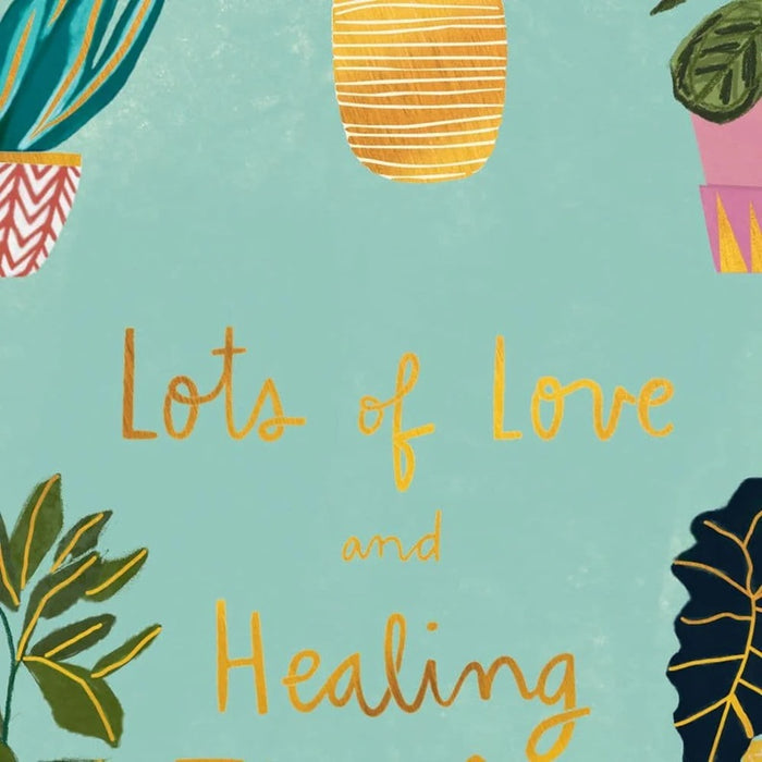 Luxury Get Well Greeting Card - Potted Plants