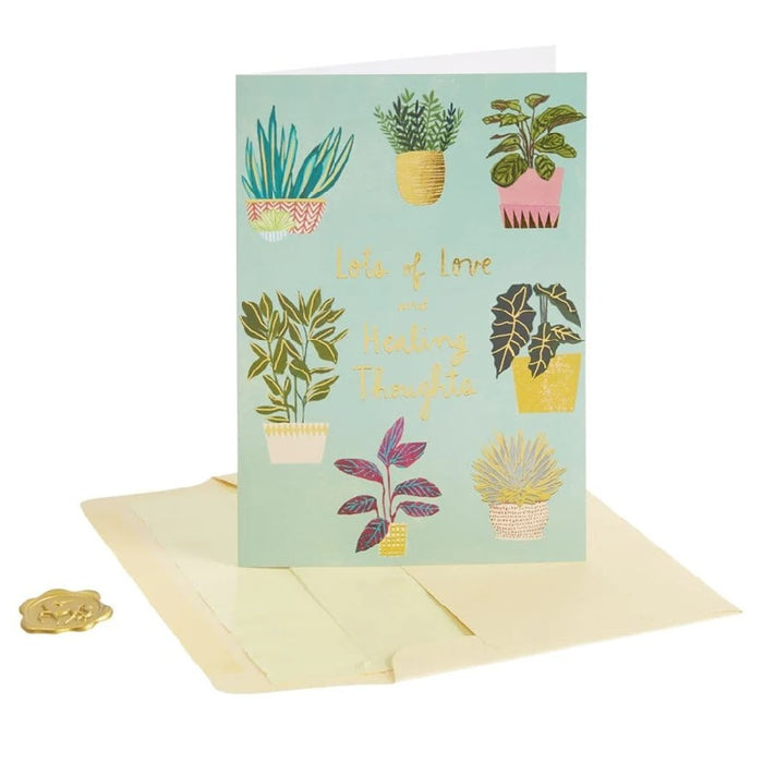 Luxury Get Well Greeting Card - Potted Plants