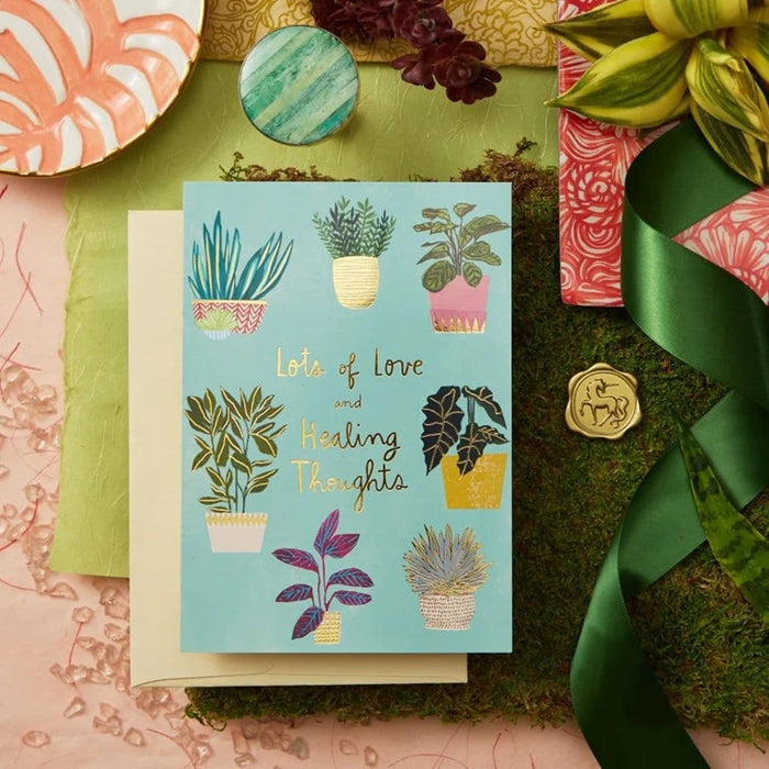 Luxury Get Well Greeting Card - Potted Plants