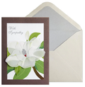 Luxury Sympathy Greeting Card - Magnolias in Vellum