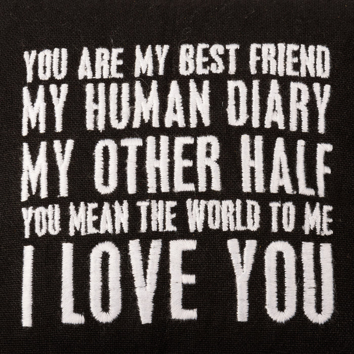 Mini Pillow - You Are My Best Friend