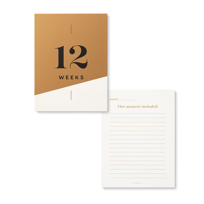 Moments of Joy ... Pregnancy Milestone Cards