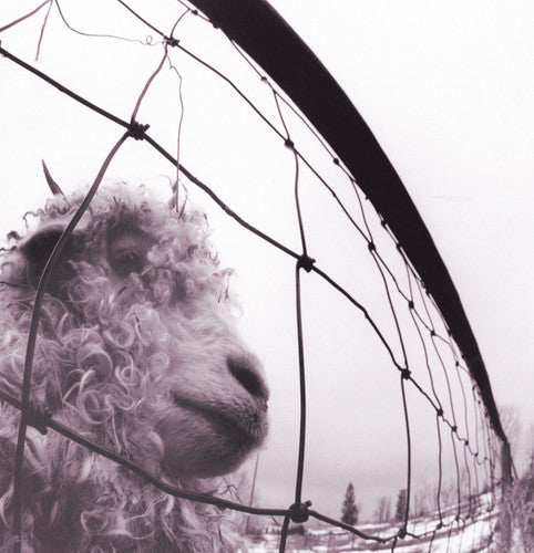 Pearl Jam - vs.