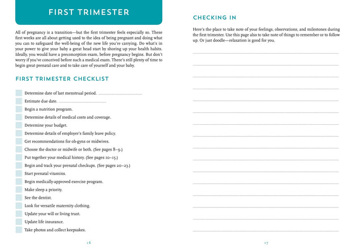 Planner - I'm Pregnant, Now What?