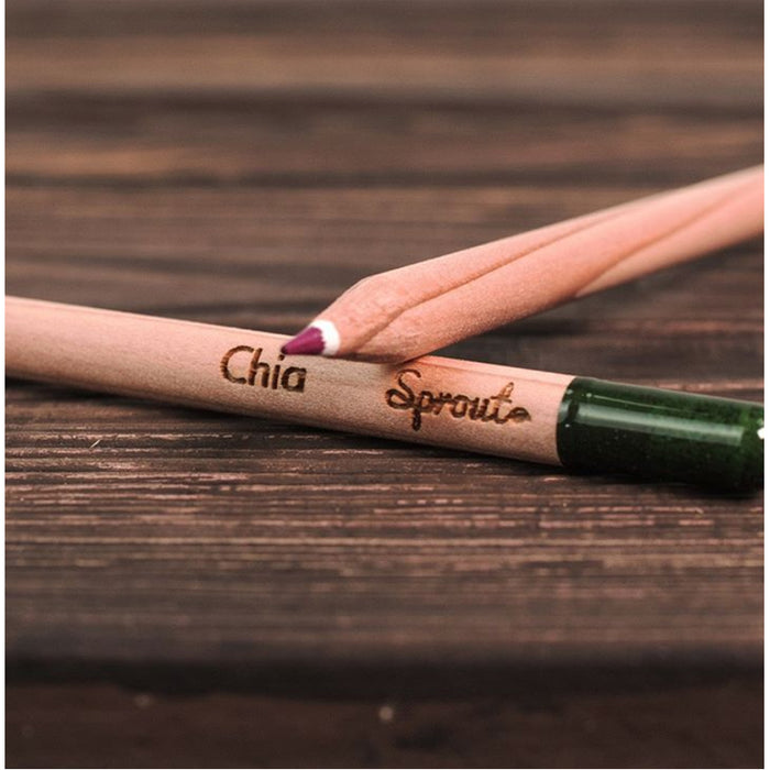 Plantable Colored Pencils - 8pk