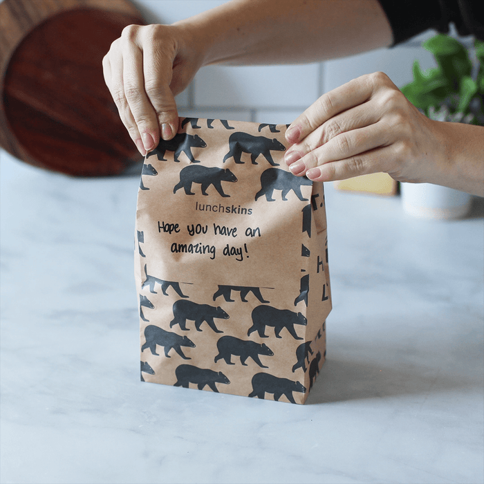 Recyclable Paper Lunch Sacs Variety Pack