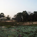 Sarathy Korwar - KALAK